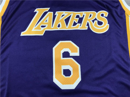Men's Los Angeles Lakers LeBron James #6 Purple 2022/23 Swingman Player Jerseys