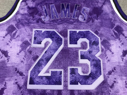 Men's Los Angeles Lakers LeBron James #23 Purple Select Series Swingman Jerseys