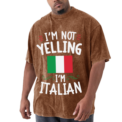 I'm Not Yelling I'm Italian Italy Flag Funny Vintage T-Shirt
