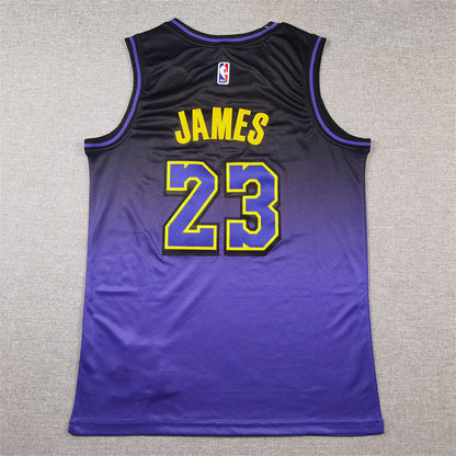 Men's Los Angeles Lakers LeBron James #23 Purple 2024/25 Swingman Jerseys - City Edition