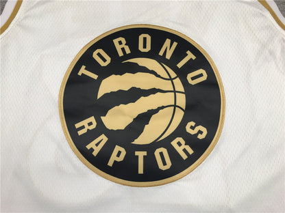 Men's Toronto Raptors Fred VanVleet White Swingman Player Jerseys