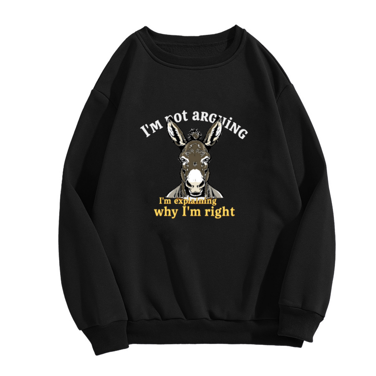 Retro Vintage Dachshund Dog Lover Casual Crewneck Sweatshirt