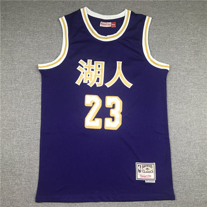 Men's Los Angeles Lakers LeBron James Purple Hardwood Classics Swingman Jerseys