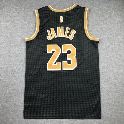 Men's Los Angeles Lakers LeBron James #23 Black Select Series Swingman Jerseys