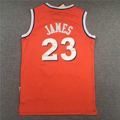 Men's Cleveland Cavaliers LeBron James Orange Hardwood Classics Swingman Jerseys
