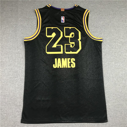Men's Los Angeles Lakers Lebron James #23 Final Path Jerseys Stitched