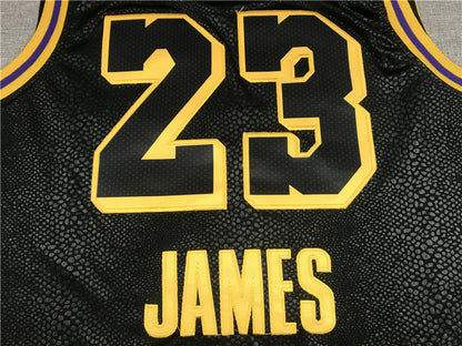 Men's Los Angeles Lakers Lebron James #23 Final Path Jerseys Stitched