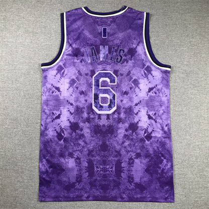 Men's Los Angeles Lakers LeBron James #6 Purple Select Series Swingman Jerseys