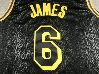 Men's Los Angeles Lakers LeBron James #6 NBA Black Jerseys