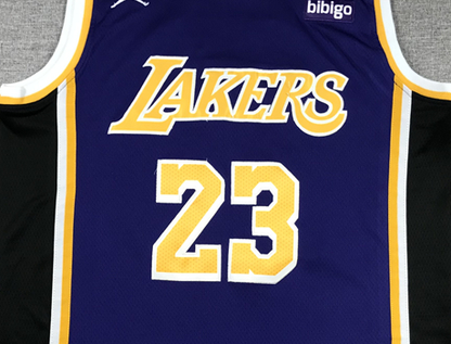 Men's Los Angeles Lakers LeBron James #23 NBA Purple Swingman Jerseys