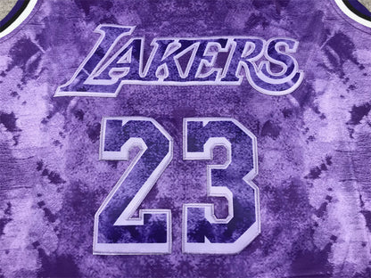 Men's Los Angeles Lakers LeBron James #23 Purple Select Series Swingman Jerseys