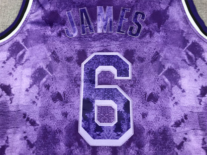 Men's Los Angeles Lakers LeBron James #6 Purple Select Series Swingman Jerseys