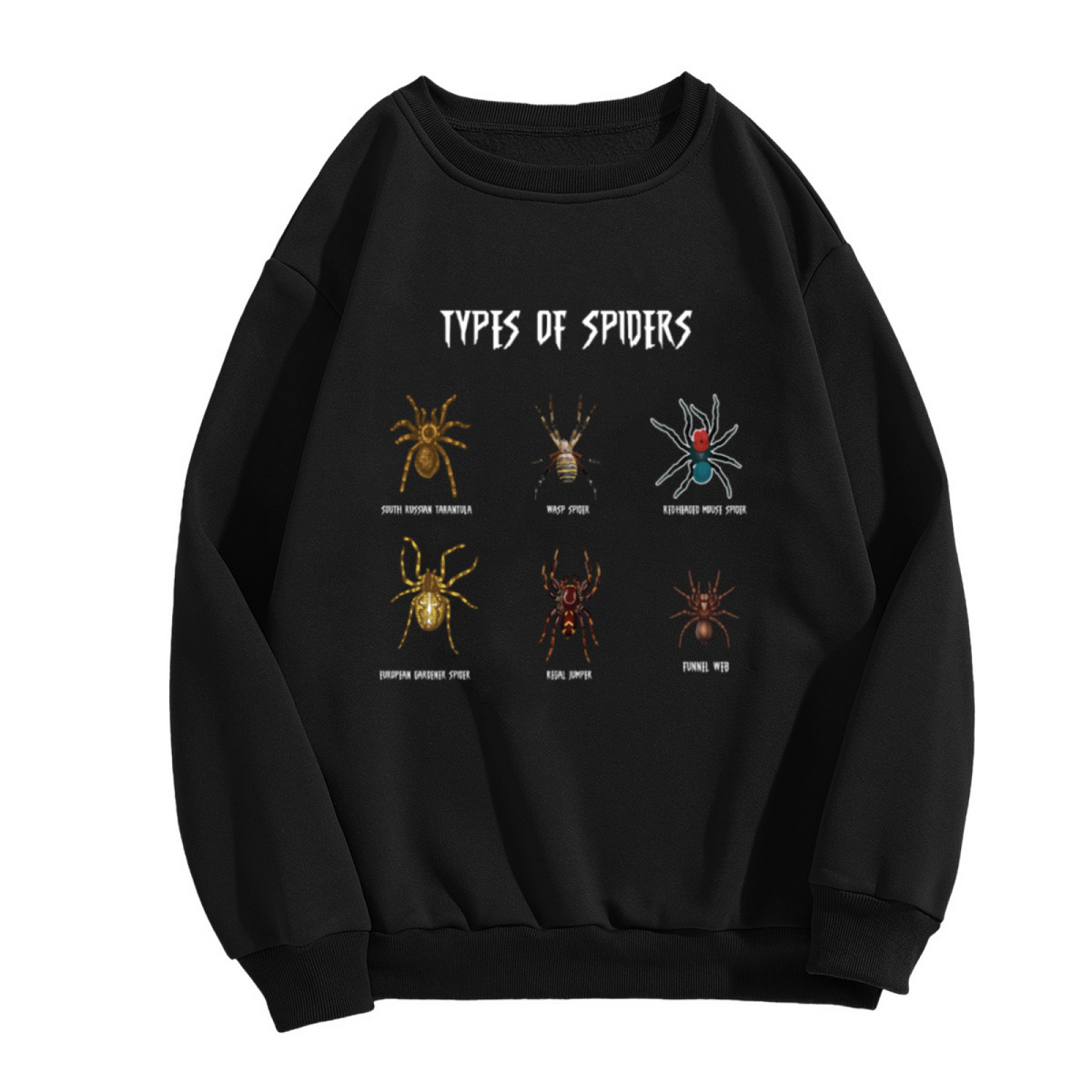 Types Of Spiders Graphic Crewneck Sweatshirt, Spider Lover Gift Top