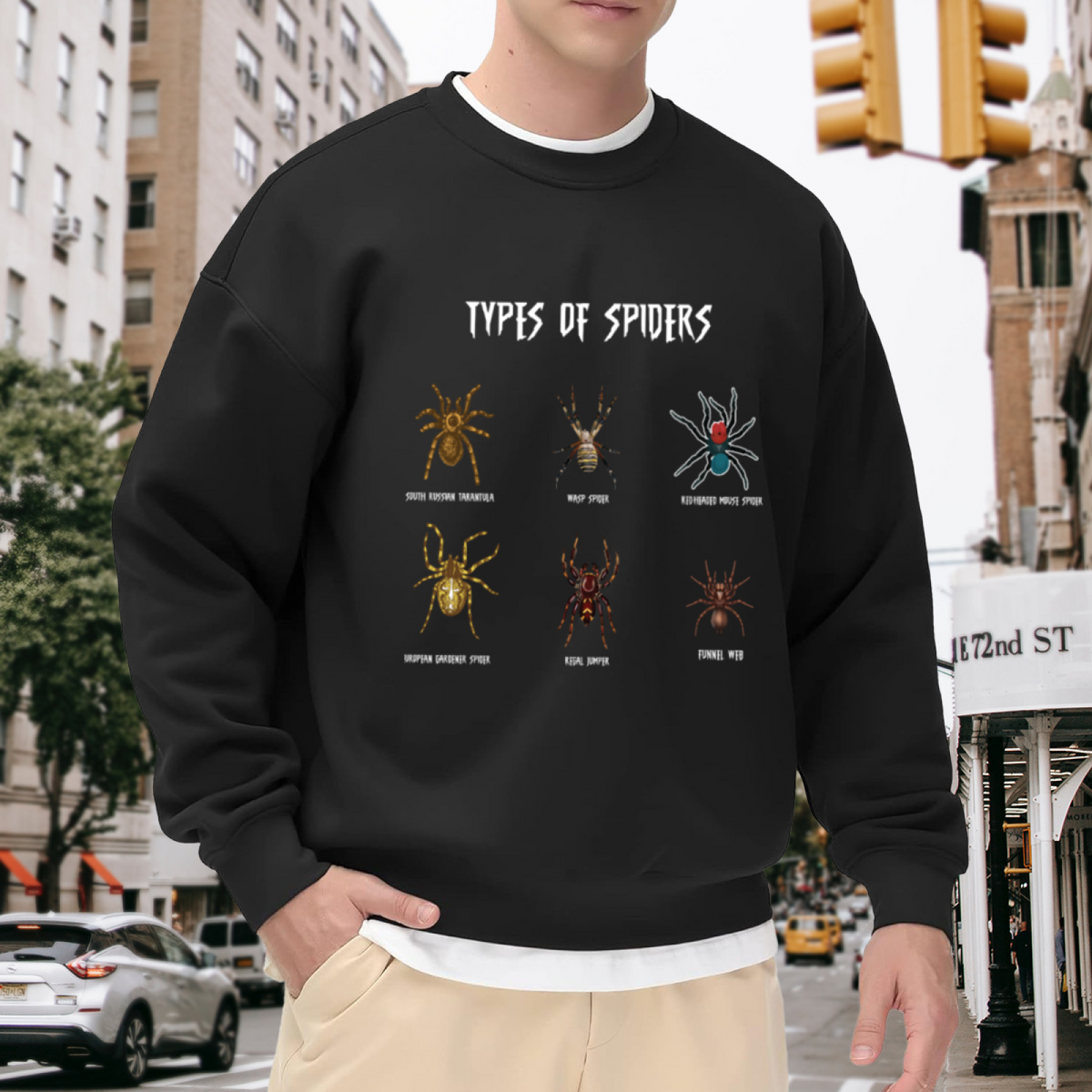 Types Of Spiders Graphic Crewneck Sweatshirt, Spider Lover Gift Top