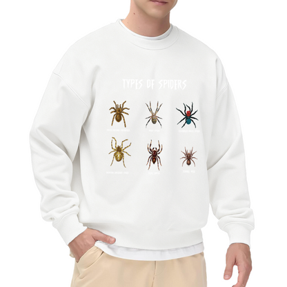 Types Of Spiders Graphic Crewneck Sweatshirt, Spider Lover Gift Top