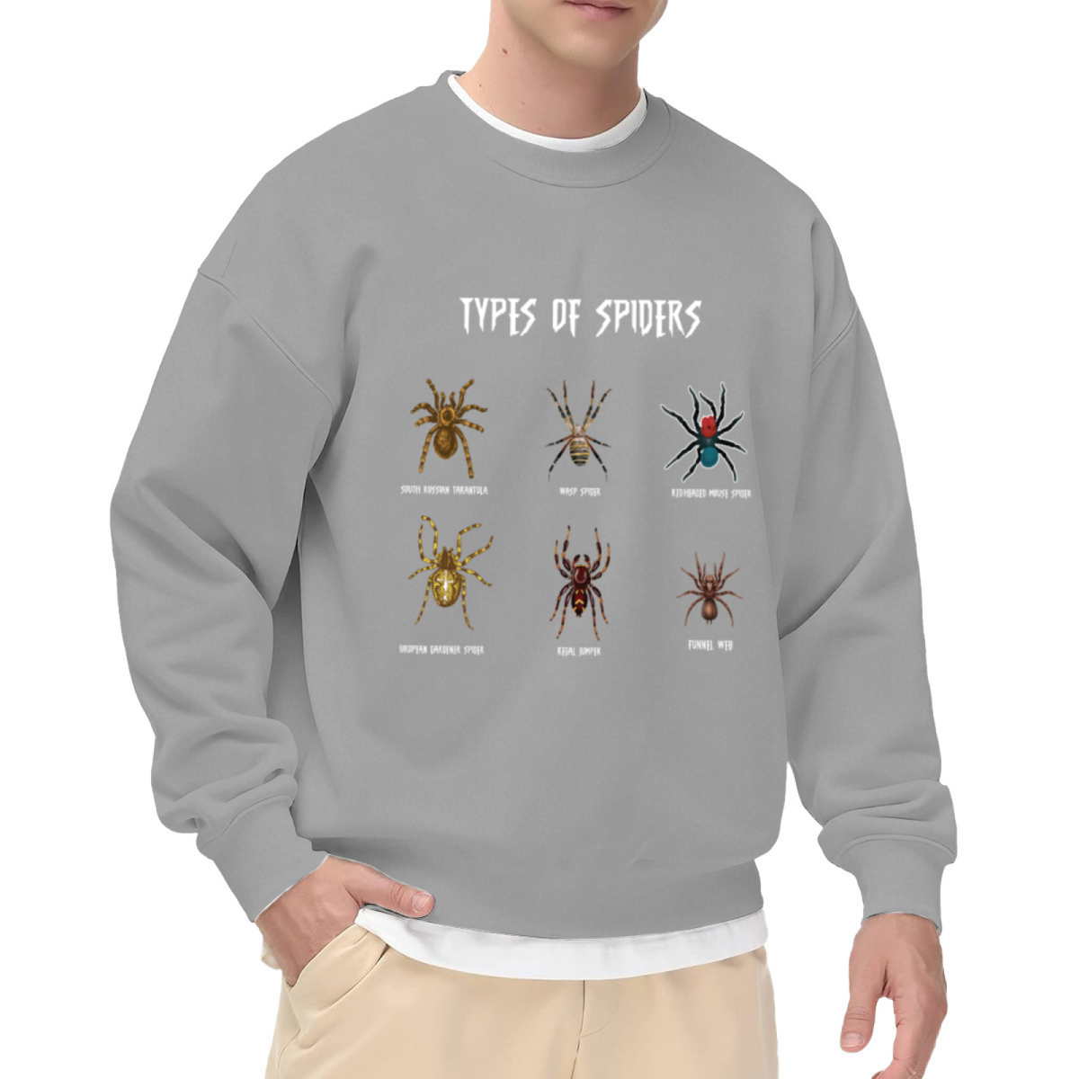 Types Of Spiders Graphic Crewneck Sweatshirt, Spider Lover Gift Top