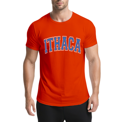 Vintage Ithaca College Letter Print Grey T-Shirt, Preppy Campus Couple Casual Top