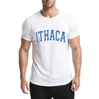 Vintage Ithaca College Letter Print Grey T-Shirt, Preppy Campus Couple Casual Top