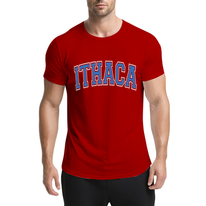 Vintage Ithaca College Letter Print Grey T-Shirt, Preppy Campus Couple Casual Top
