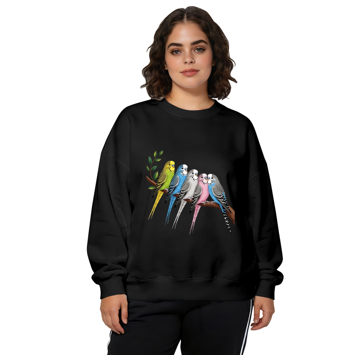 Colorful Budgie Parrot Bird Art Casual Crewneck Sweatshirt