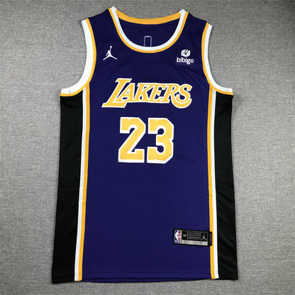 Men's Los Angeles Lakers LeBron James #23 NBA Purple Swingman Jerseys