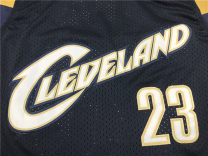 Men's Cleveland Cavaliers LeBron James 2008-09 Hardwood Classics Swingman Jerseys