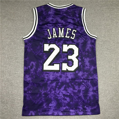 Men's Los Angeles Lakers LeBron James #23 Purple Galaxy Swingman Jerseys