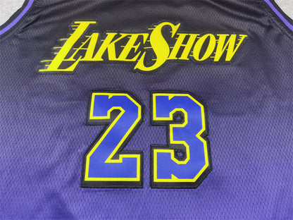 Men's Los Angeles Lakers LeBron James #23 Purple 2024/25 Swingman Jerseys - City Edition