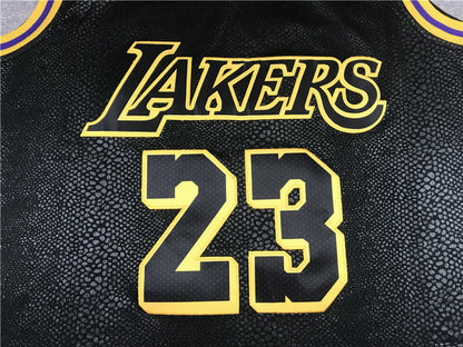 Men's Los Angeles Lakers Lebron James #23 Final Path Jerseys Stitched
