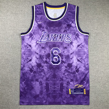 Men's Los Angeles Lakers LeBron James #6 Purple Select Series Swingman Jerseys