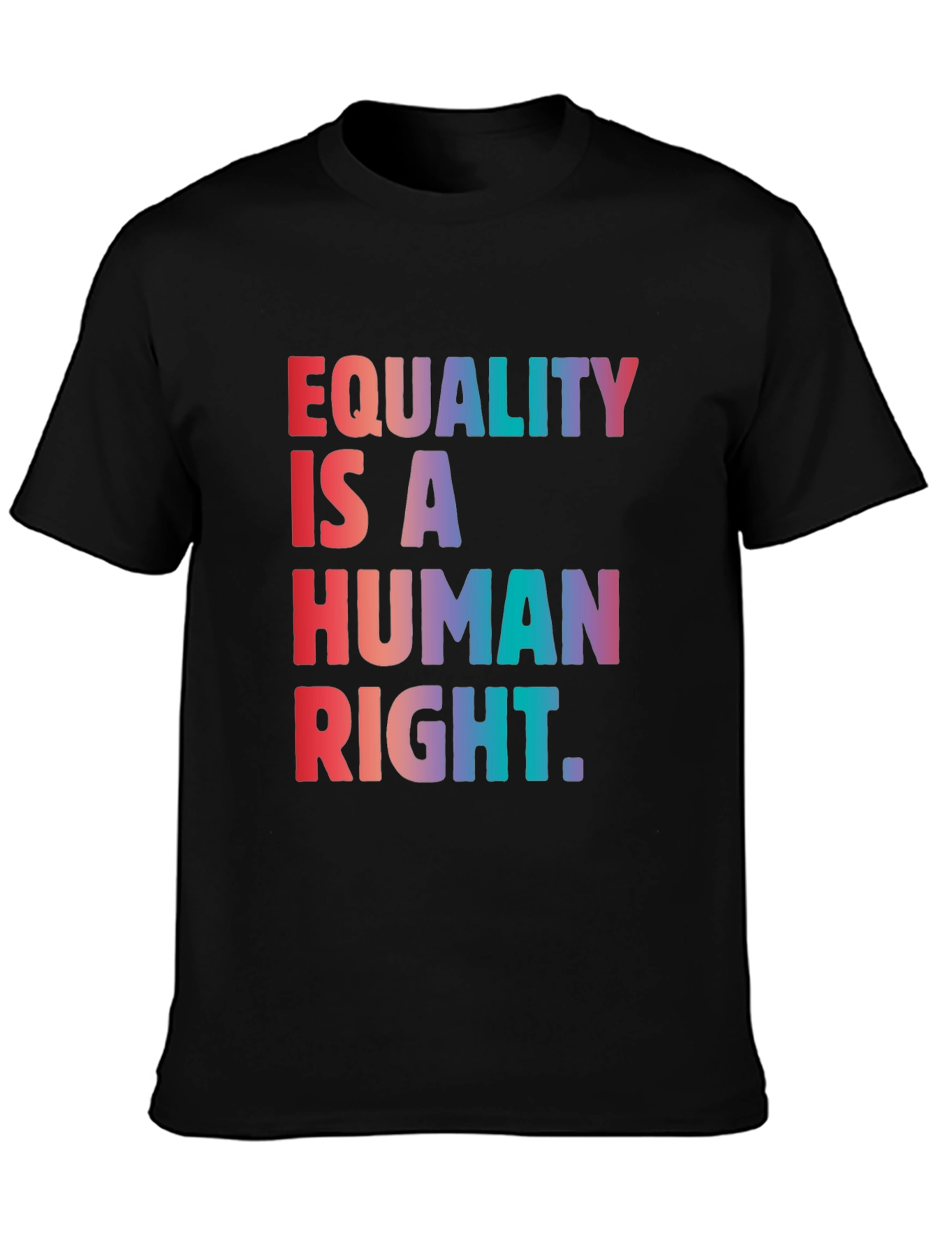 Equality is a Human Right Graphic T-Shirt