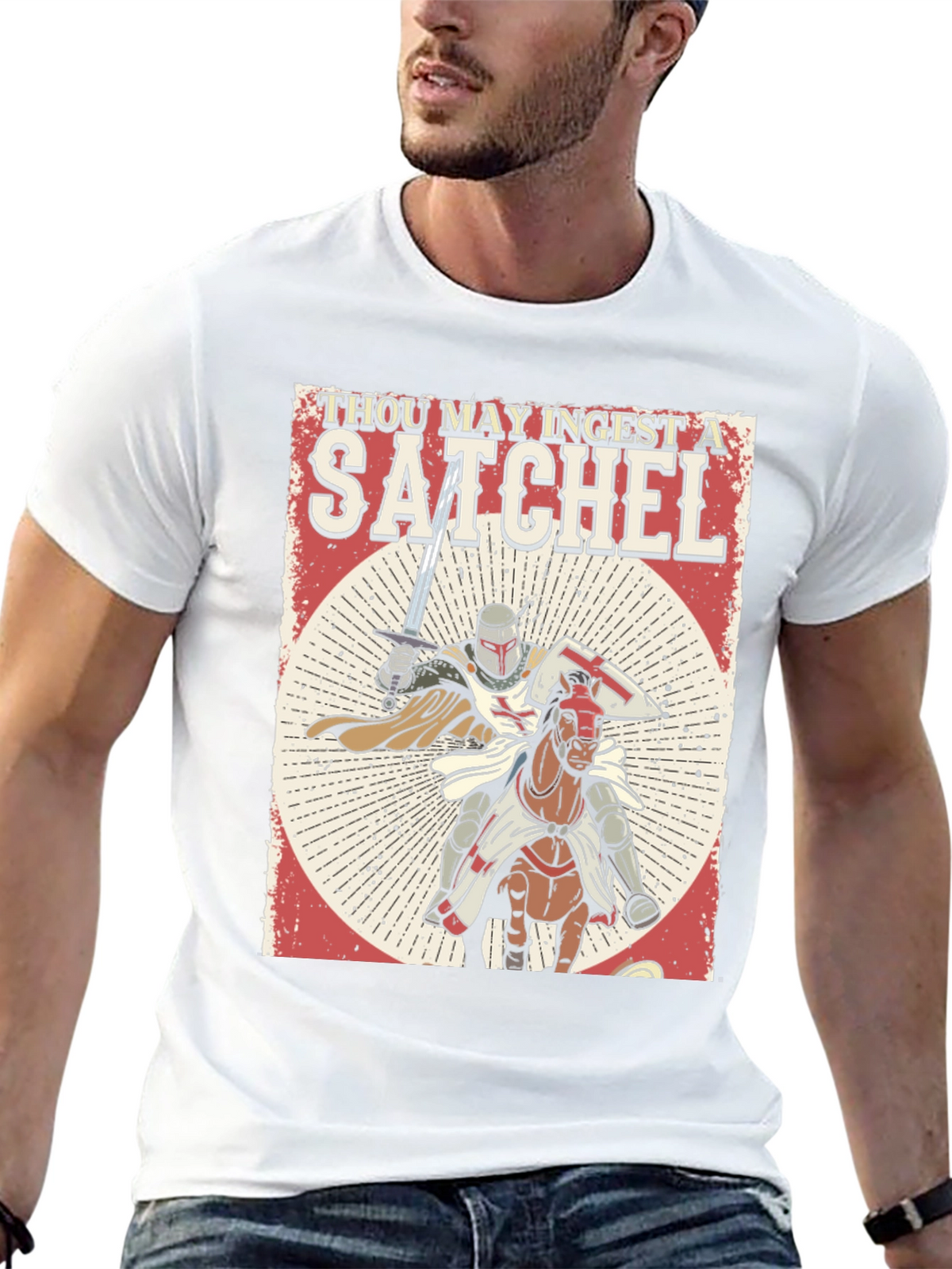Thou May Ingest A Satchel Funny Knight T-Shirt