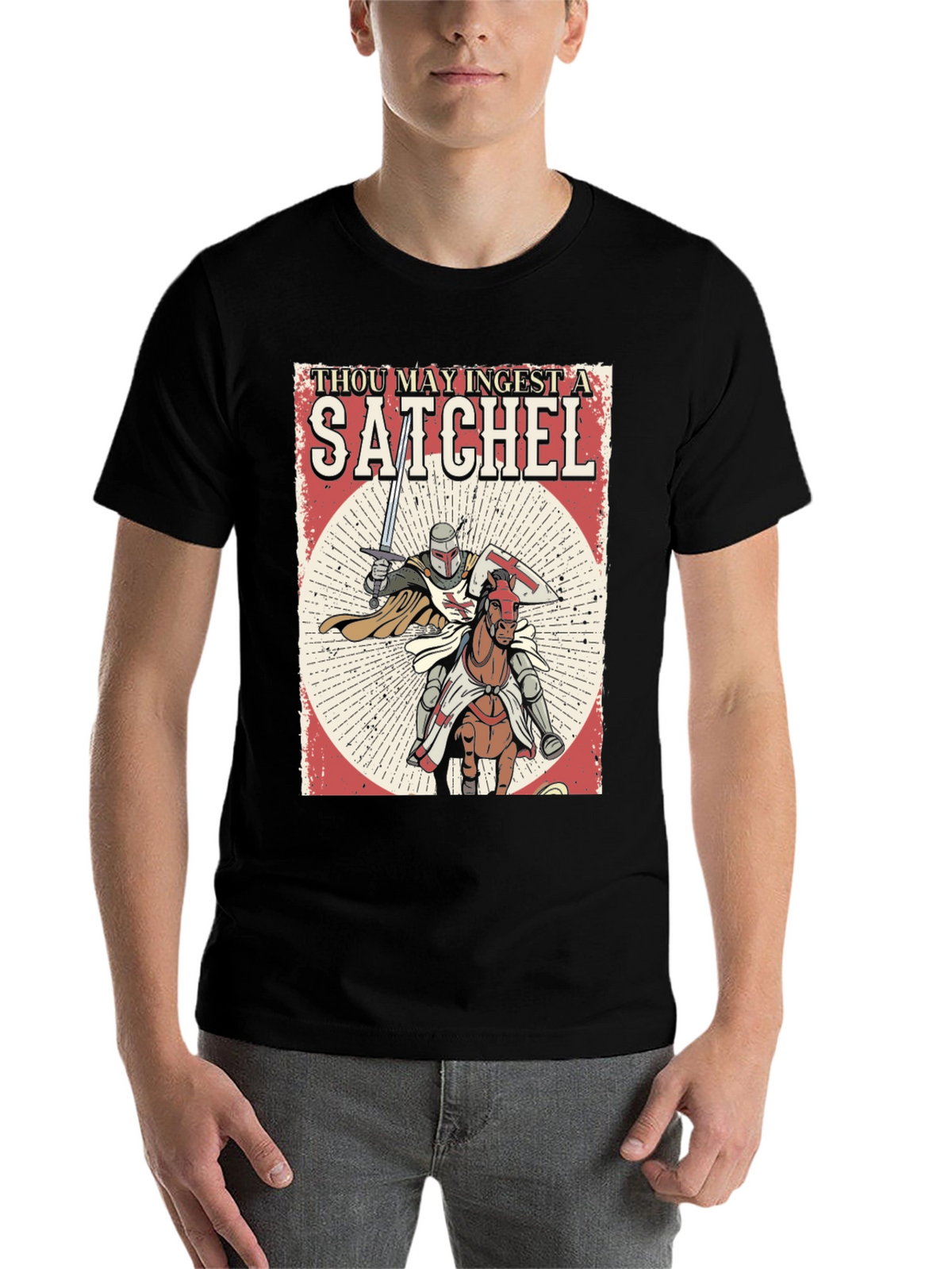 Thou May Ingest A Satchel Funny Knight T-Shirt