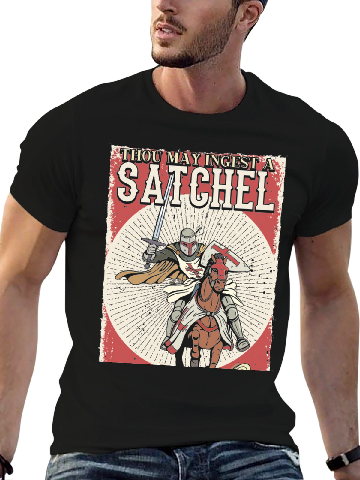 Thou May Ingest A Satchel Funny Knight T-Shirt