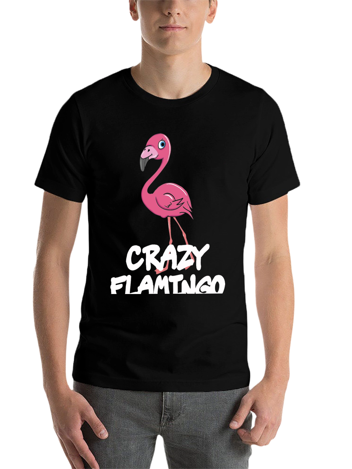 Crazy Flamingo Graphic Tee - Fun Novelty T-Shirt