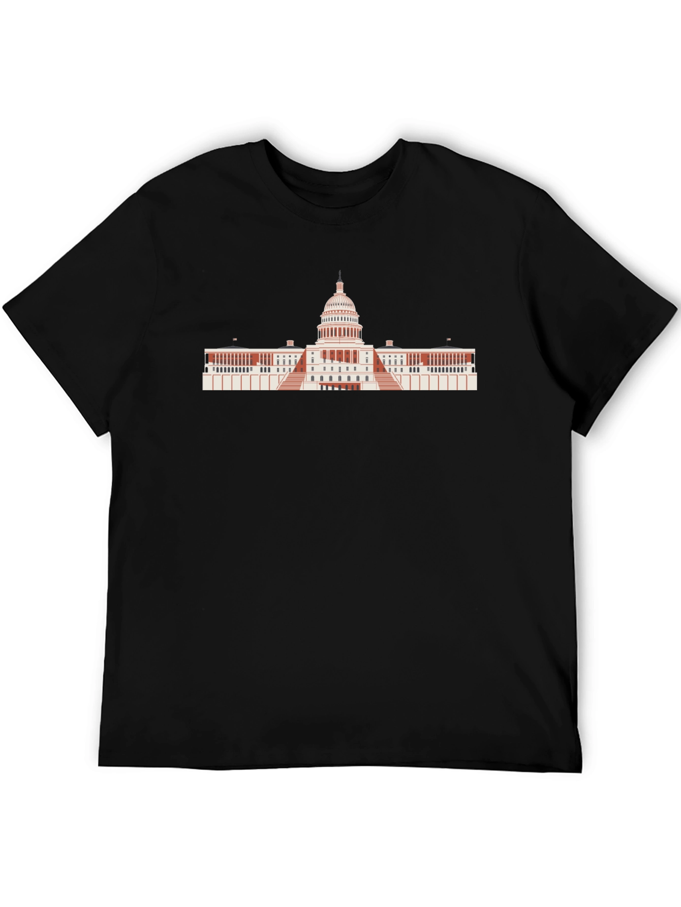 US Capitol Building Graphic Tee - Black